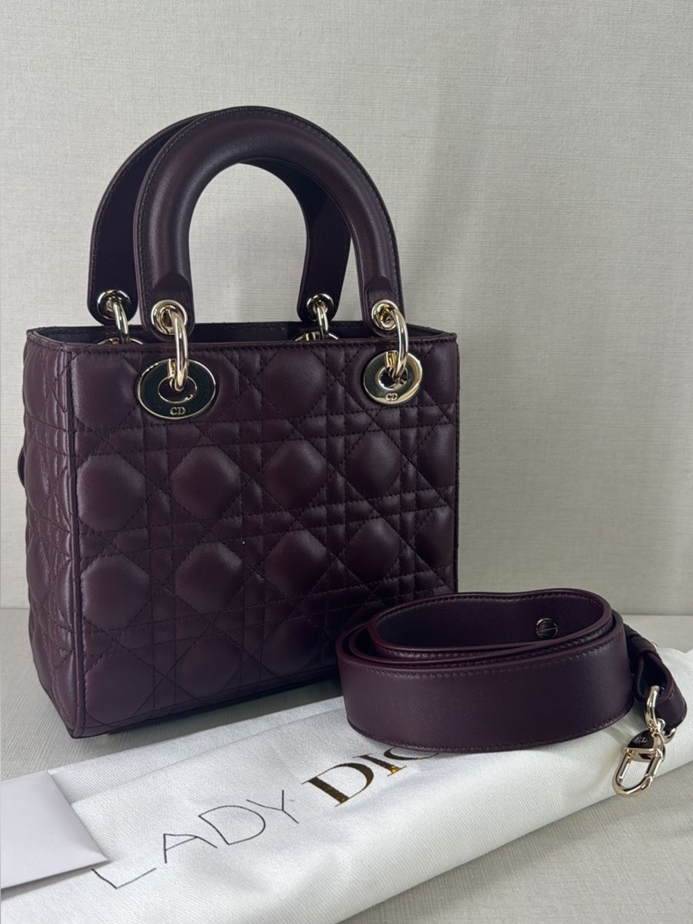 Dior Mini Lady Dior Tote in Deep Burgundy with Gold Hardware